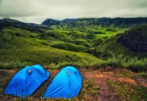Dzukou Valley