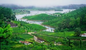 Valparai
