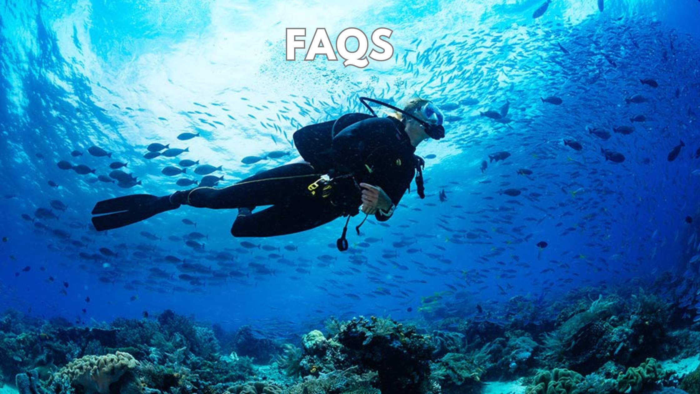 faqs