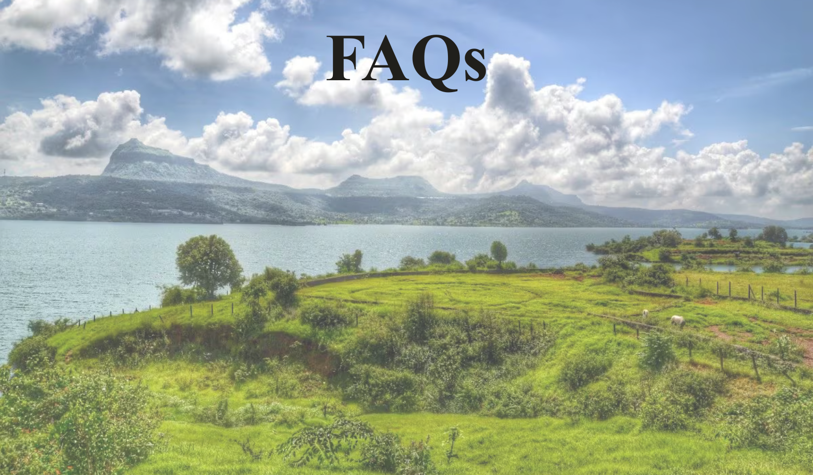 FAQs