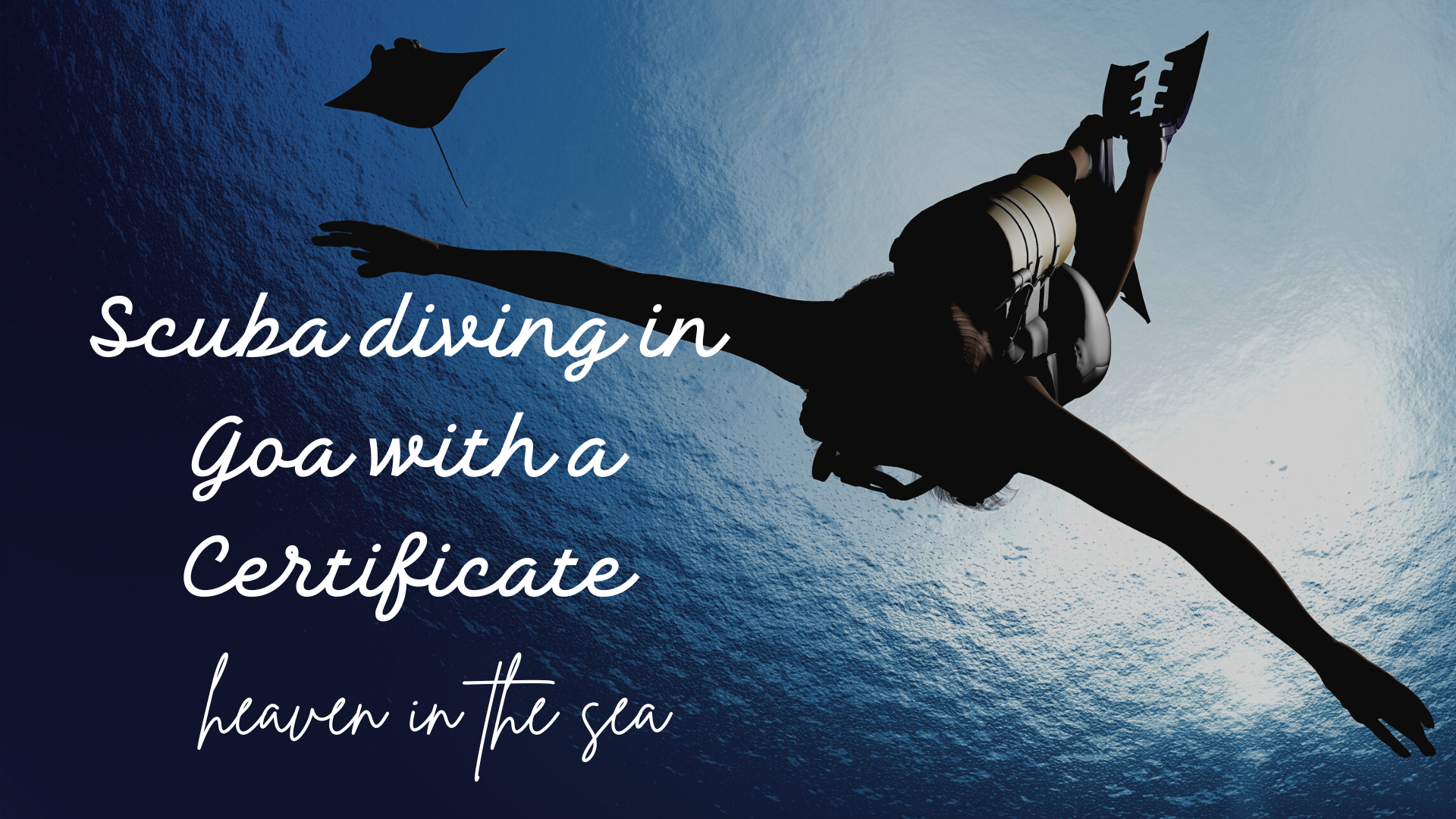 Discovery Dives vs Certification Courses